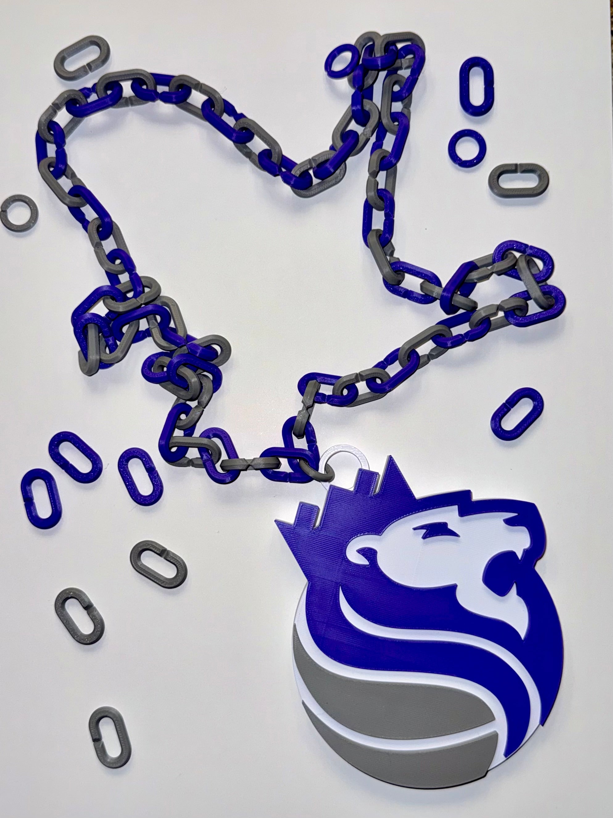 Sacramento Kings Hype Chain – Grey & Purple